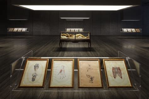 mostra cere anatomiche fondazione prada|Fondazione Prada, Le Cere Anatomiche in mostra .